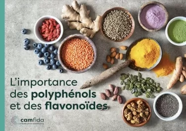 polyphenols-flavonoides