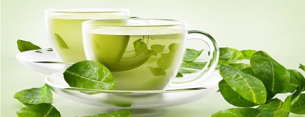 Groene thee heeft krachtige kankerremmende eigenschappen. 