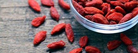 Uit onderzoek blijkt dat het Goji-bessenextract oxidatieve stress en groei van kankercellen verhindert. 